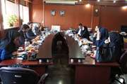 برگزاری کمیته پیگیری کمبود دارو و تجهیزات مشترک استان تهران در معاونت غذا و دارو