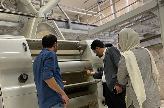 بازدید سرزده مدیرنظارت بر مواد غذایی، آشامیدنی، آرایشی و بهداشتی معاونت غذا و دارو از کارخانه کالاهای اساسی 