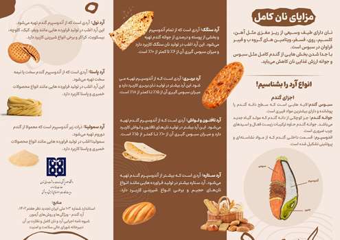 مزایای نان کامل و آشنایی با انواع آرد محبوب در ایران